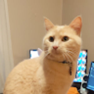 Meet your Posher, Aubri